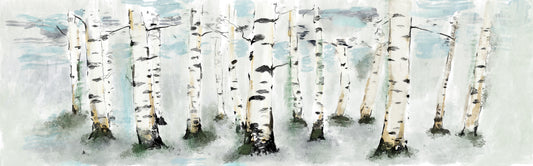 Birch Forest