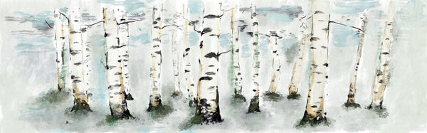 Birch Forest