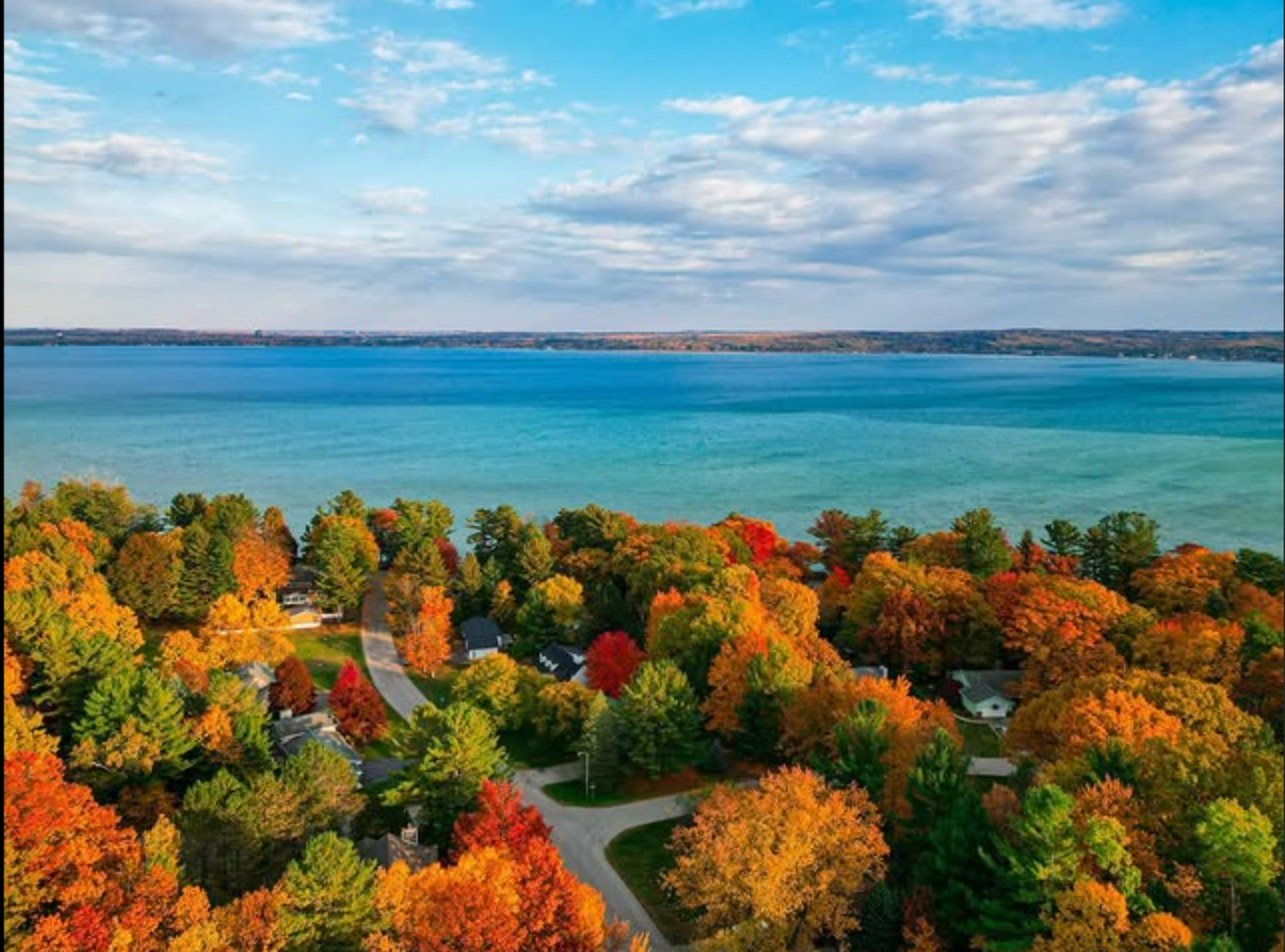 Fall Leaves